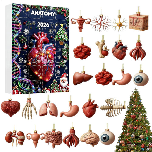 Anatomie Adventskalender 2026 | 24 Organe als Weihnachtsanhänger