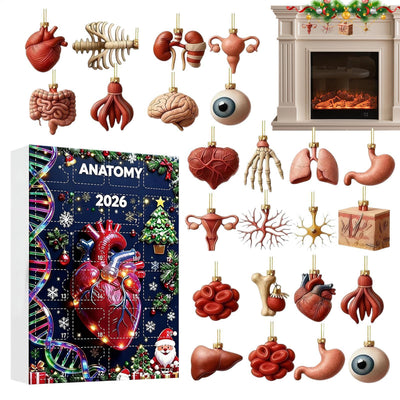 Anatomie Adventskalender 2026 | 24 Organe als Weihnachtsanhänger