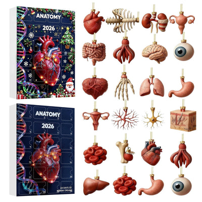 Anatomie Adventskalender 2026 | 24 Organe als Weihnachtsanhänger