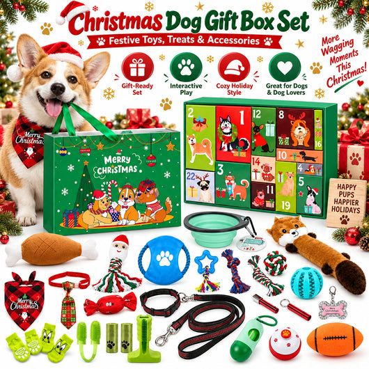 Hunde Adventskalender 2026 | 24 Spielzeuge für den Hund