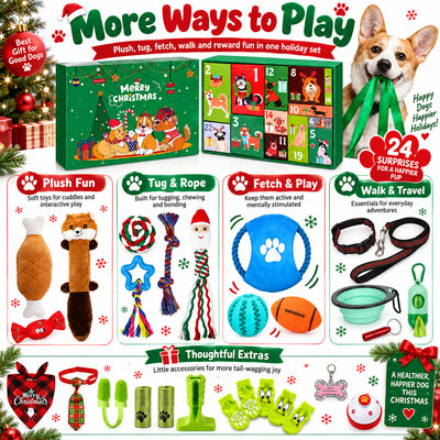 Hunde Adventskalender 2026 | 24 Spielzeuge für den Hund