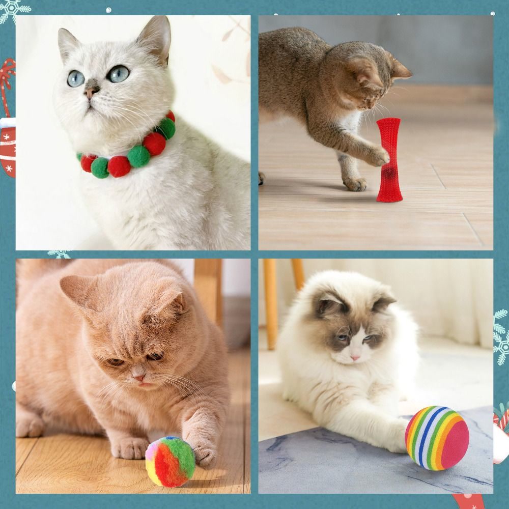 Sie bleiben noch lange nach Weihnachten
